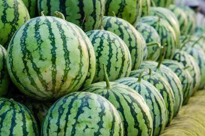 全国各地免费吃瓜爆料资源群,免费吃瓜爆料资源群大揭秘 第2张 全国各地免费吃瓜爆料资源群,免费吃瓜爆料资源群大揭秘 第2张