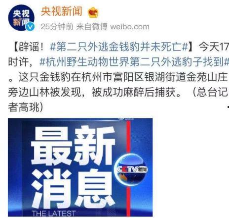 泸州最新爆料事件新闻,揭秘事件背后惊人真相 第2张 泸州最新爆料事件新闻,揭秘事件背后惊人真相 第2张