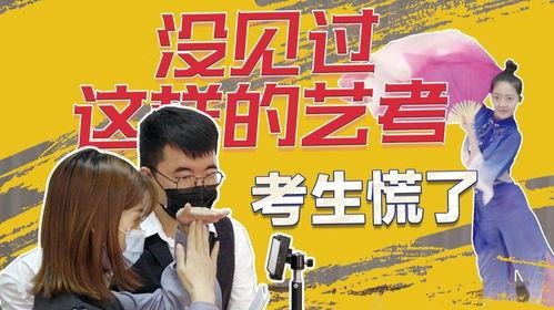 艺考机构爆料视频网站,揭秘视频网站幕后操作  第3张