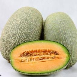 大妹吃哈密瓜视频大全免费观看,免费视频盛宴,尽享甜蜜时光 第1张 大妹吃哈密瓜视频大全免费观看,免费视频盛宴,尽享甜蜜时光 第1张