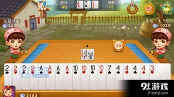 老兵爆料斗地主视频,斗地主视频背后的精彩瞬间  第1张