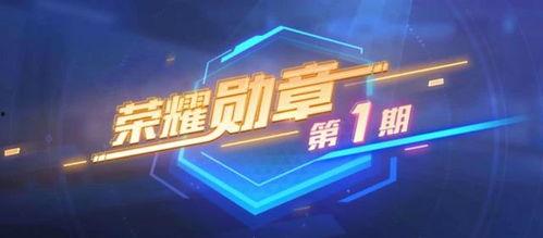 荣耀勋章最新爆料消息 第1张 荣耀勋章最新爆料消息 第1张