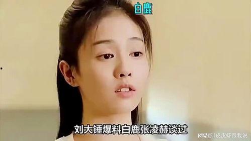 刘大锤爆料最新白鹿视频,精彩瞬间大盘点  第1张